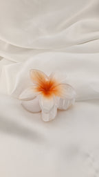 Molletta per capelli a fiore gradiente